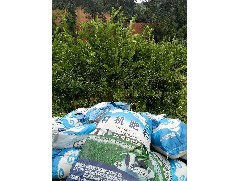 盆栽植物能否使用有機(jī)肥嗎？