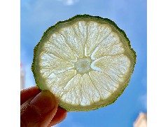 為什么檸檬水會(huì)有苦味？怎么泡才沒(méi)有苦味？